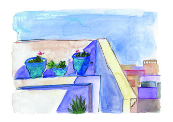 Pots de Kalanchoés