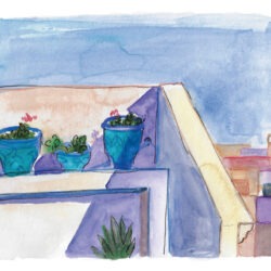 Pots de Kalanchoés